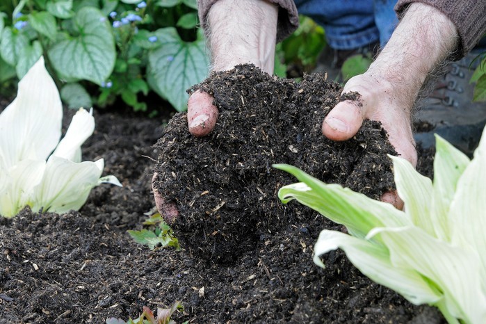 https://shop2.three-z.com/storage/photos/1/Category/Compost.jpg