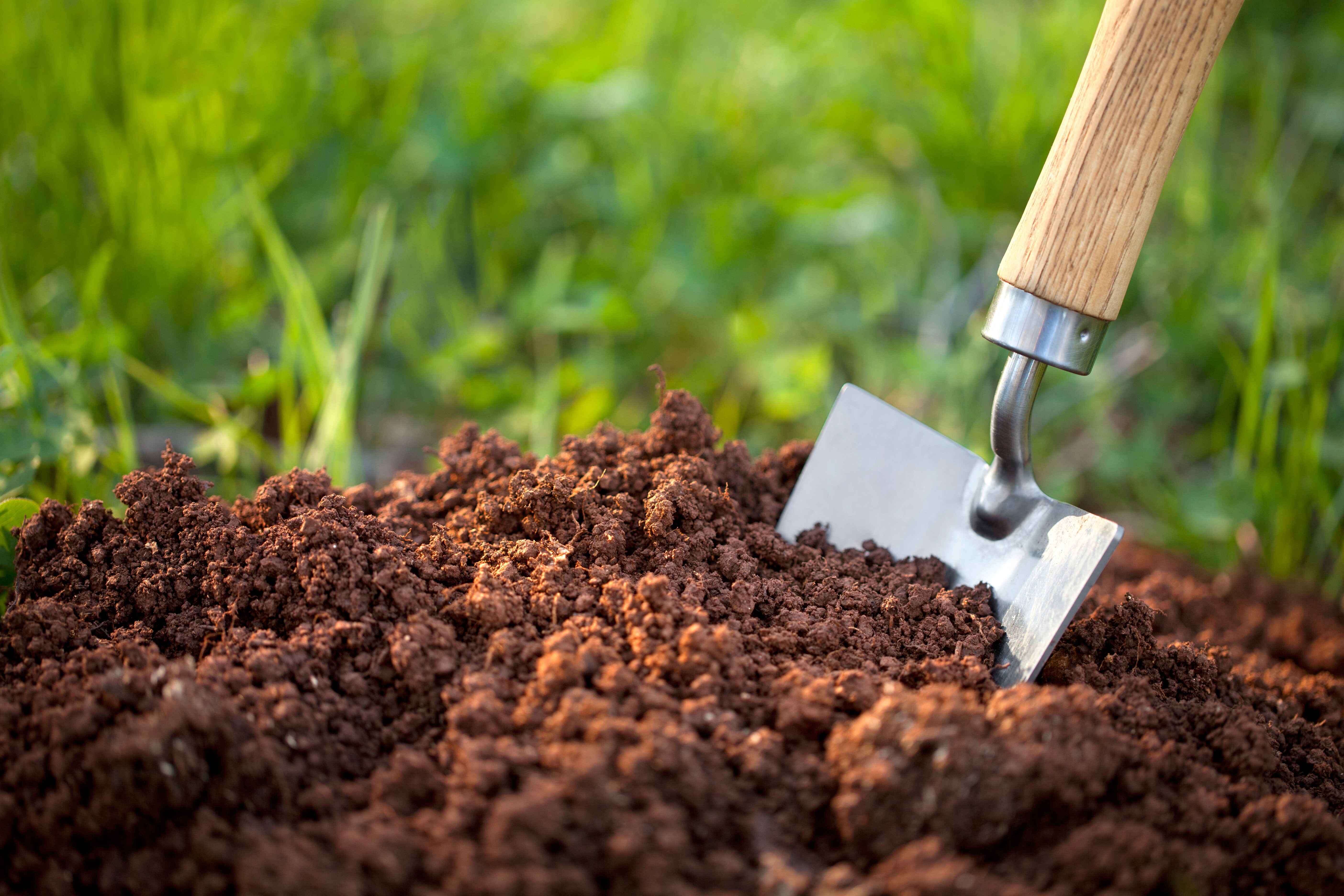 https://shop2.three-z.com/storage/photos/1/Category/Soil.jpg